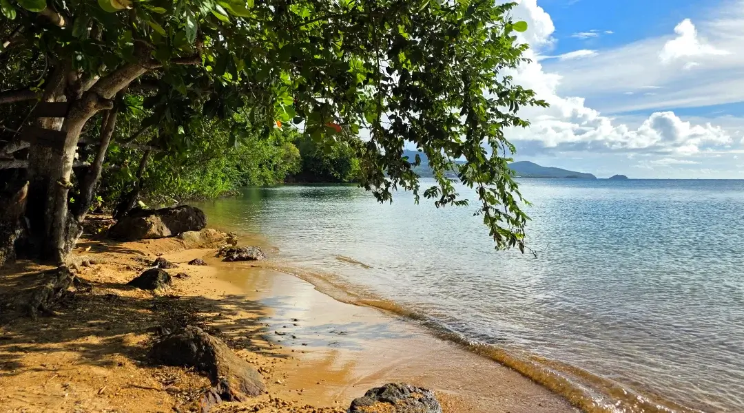 Spar’Car location de véhicules Martinique